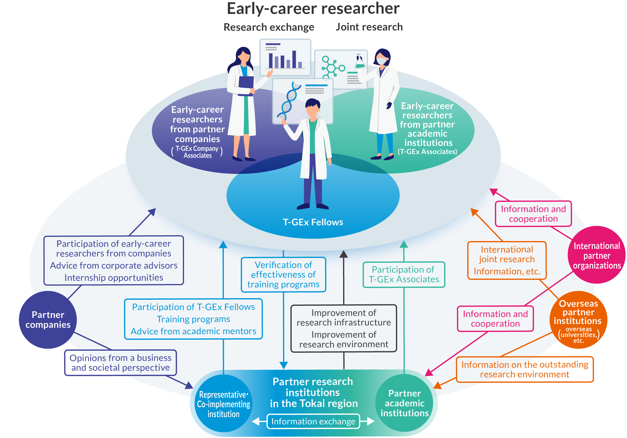 Cooperation Network Image